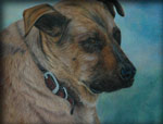 Pencil crayon work of dog named Max